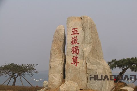 春晚花落泰山？華全機組關注之余還做了這事兒